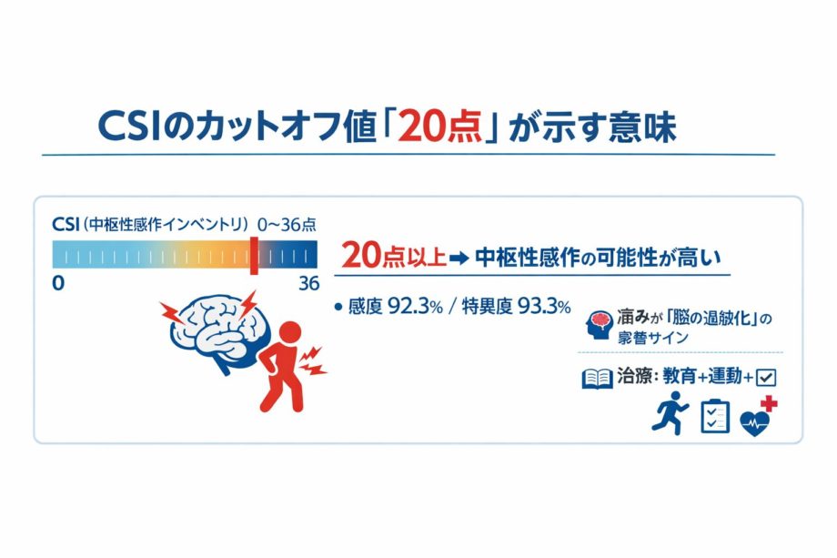 CSIのカットオフ値「20点」は、中枢性感作が関与している可能性が高いラインを示します。
20点以上の場合、痛みが“脳の過敏化”の影響を受けていることが多く、教育（PNE）・運動療法・行動変容の組み合わせが有効です。
