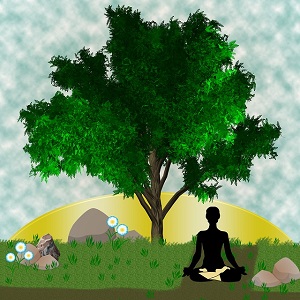 瞑想
