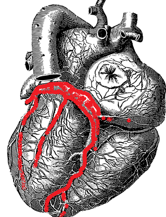 冠状動脈
