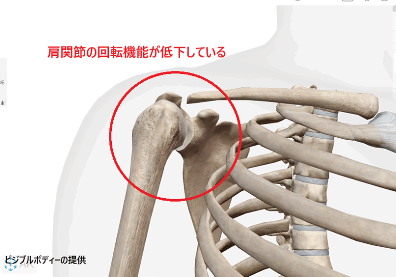 肩関節の回転運動が低下している