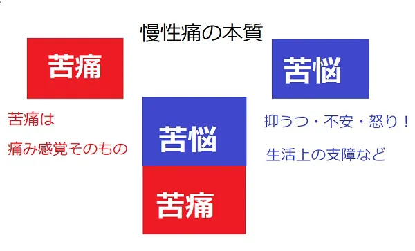 慢性痛の簡略図