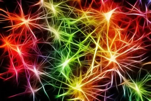 神経ニューロンのイメージ